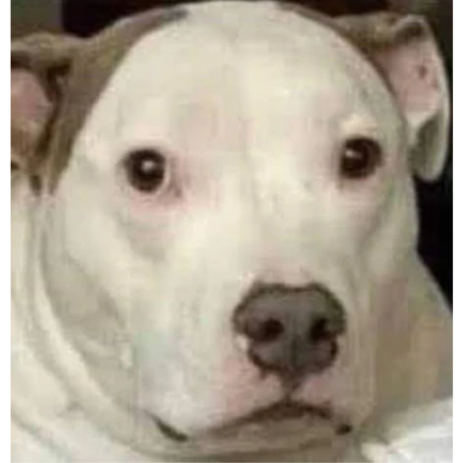 Imagem Publicada por Kadu em MegaHentai.Biz