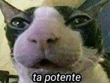 Imagem Publicada por Hamizaydam18 em MegaHentai.Biz